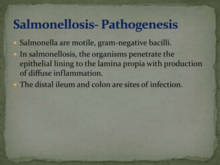  Salmonella are motile, gram-negative bacilli.
 In salmonellosis, the organisms penetrate the
epithelial lining to the lamina propia with production
of diffuse inflammation.
 The distal ileum and colon are sites of infection.
 