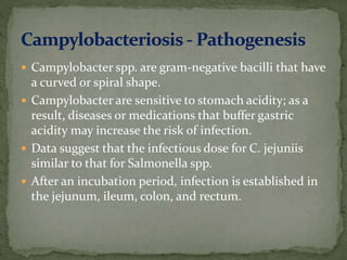  Campylobacter spp. are gram-negative bacilli that have
a curved or spiral shape.
 Campylobacter are sensitive to stomach acidity; as a
result, diseases or medications that buffer gastric
acidity may increase the risk of infection.
 Data suggest that the infectious dose for C. jejuniis
similar to that for Salmonella spp.
 After an incubation period, infection is established in
the jejunum, ileum, colon, and rectum.
 