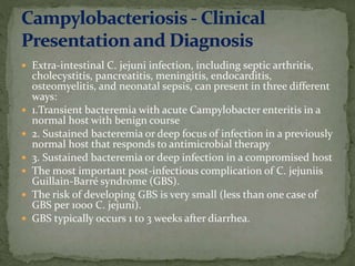  Extra-intestinal C. jejuni infection, including septic arthritis,
cholecystitis, pancreatitis, meningitis, endocarditis,
osteomyelitis, and neonatal sepsis, can present in three different
ways:
 1.Transient bacteremia with acute Campylobacter enteritis in a
normal host with benign course
 2. Sustained bacteremia or deep focus of infection in a previously
normal host that responds to antimicrobial therapy
 3. Sustained bacteremia or deep infection in a compromised host
 The most important post-infectious complication of C. jejuniis
Guillain-Barré syndrome (GBS).
 The risk of developing GBS is very small (less than one case of
GBS per 1000 C. jejuni).
 GBS typically occurs 1 to 3 weeks after diarrhea.
 