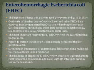  The highest incidence is in patients aged 5 to 9 years and 50 to 59 years.
 Outbreaks of diarrhea due to O157:H7 E. coli and other STECs have
occurred from contaminated beef, classically hamburgers served at
fast-food chains, raw milk and other dairy products, vegetables (e.g.,
alfalfasprouts, coleslaw, and lettuce), and apple juice.
 The most important reservoir for E. coli O157:H7 is the gastrointestinal
tract of cattle.
 Person-to-person transmission is also possible because of the low
infectious dose.
 Swimming in infant pools or contaminated lakes or drinking municipal
water also appears to be a risk factor.
 The incidence of diagnosed E. coli O157:H7 infections is greater among
rural than urban populations, and E coli O157:H7 infections occur in
summer and autumn.
 