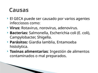  El GECA puede ser causado por varios agentes
infecciosos como:
 Virus: Rotavirus, norovirus, adenovirus.
 Bacterias: Salmonella, Escherichia coli (E. coli),
Campylobacter, Shigella.
 Parásitos: Giardia lamblia, Entamoeba
histolytica.
 Toxinas alimentarias: Ingestión de alimentos
contaminados o mal preparados.
Causas
 