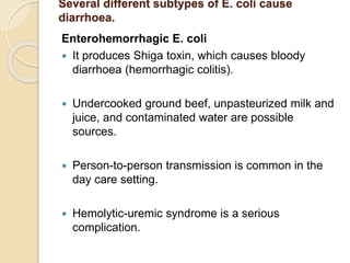 Several different subtypes of E. coli cause
diarrhoea.
Enterohemorrhagic E. coli
 It produces Shiga toxin, which causes bloody
diarrhoea (hemorrhagic colitis).
 Undercooked ground beef, unpasteurized milk and
juice, and contaminated water are possible
sources.
 Person-to-person transmission is common in the
day care setting.
 Hemolytic-uremic syndrome is a serious
complication.
 
