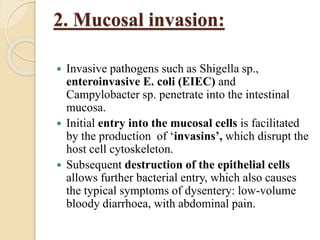 2. Mucosal invasion:
 Invasive pathogens such as Shigella sp.,
enteroinvasive E. coli (EIEC) and
Campylobacter sp. penetrate into the intestinal
mucosa.
 Initial entry into the mucosal cells is facilitated
by the production of ‘invasins’, which disrupt the
host cell cytoskeleton.
 Subsequent destruction of the epithelial cells
allows further bacterial entry, which also causes
the typical symptoms of dysentery: low-volume
bloody diarrhoea, with abdominal pain.
 