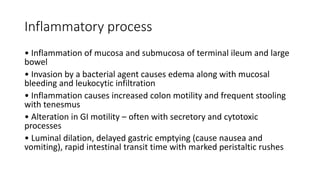 Inflammatory process
• Inflammation of mucosa and submucosa of terminal ileum and large
bowel
• Invasion by a bacterial agent causes edema along with mucosal
bleeding and leukocytic infiltration
• Inflammation causes increased colon motility and frequent stooling
with tenesmus
• Alteration in GI motility – often with secretory and cytotoxic
processes
• Luminal dilation, delayed gastric emptying (cause nausea and
vomiting), rapid intestinal transit time with marked peristaltic rushes
 