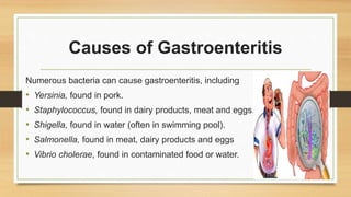 Causes of Gastroenteritis
Numerous bacteria can cause gastroenteritis, including
• Yersinia, found in pork.
• Staphylococcus, found in dairy products, meat and eggs.
• Shigella, found in water (often in swimming pool).
• Salmonella, found in meat, dairy products and eggs
• Vibrio cholerae, found in contaminated food or water. by f
 