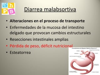 Diarrea malabsortiva Alteraciones en el proceso de transporte Enfermedades de la mucosa del intestino delgado que provocan cambios estructurales Resecciones intestinales amplias Pérdida de peso, déficit nutricional Esteatorrea 