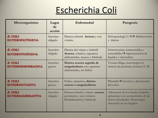 Escherichia Coli Microorganismo Lugar de acción Enfermedad Patogenia E. COLI  ENTEROPATÓGENA Intestino delgado Diarrea infantil:  Acuosa  y con vómito. Histopatología U/B   Malabsorción y  diarrea E. COLI ENTEROTOXÍGENA Intestino delgado Diarrea del viajero e infantil:  Acuosa , vómitos, espasmos abdominales, nausea y febrícula Enterotoxinas termoestables y termolábiles   hipersecreción de liquidos y electrolitos E. COLI  ENTERHEMORRAGICA Intestino grueso Diarrea acuosa seguida de sanguinolenta  con espasmos abdominales, sin fiebre. Toxinas Shiga, interrumpen la sintesis de proteinas, lesiones U/B E. COLI  ENTEROINVASIVA Intestino grueso Fiebre, espasmos,  diarrea acuosa o sanguinolienta Plásmido   invasión y destrucción del colon E. COLI  ENTEROAGREGATIVA Intestino delgado Diarrea infantil y viajero:  acuosa , persistente y con vómitos. Deshidratación y febrícula Adherencia de los bacilos (ladrillos aplanados) con acortamiento de las microvellosidades. Hemorragia  absorción de los líquidos 