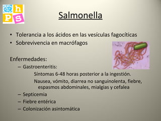 Salmonella Tolerancia a los ácidos en las vesículas fagocíticas Sobrevivencia en macrófagos Enfermedades:  Gastroenteritis:  Síntomas 6-48 horas posterior a la ingestión. Nausea, vómito, diarrea no sanguinolenta, fiebre, espasmos abdominales, mialgias y cefalea Septicemia Fiebre entérica Colonización asintomática 