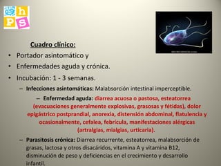 Cuadro clínico: Portador asintomático y Enfermedades aguda y crónica. Incubación: 1 - 3 semanas.  Infecciones asintomáticas:  Malabsorción intestinal imperceptible.  Enfermedad aguda:   diarrea acuosa o pastosa, esteatorrea (evacuaciones generalmente explosivas, grasosas y fétidas), dolor epigástrico postprandial, anorexia, distensión abdominal, flatulencia y ocasionalmente, cefalea, febrícula, manifestaciones alérgicas (artralgias, mialgias, urticaria).  Parasitosis crónica:  Diarrea recurrente, esteatorrea, malabsorción de grasas, lactosa y otros disacáridos, vitamina A y vitamina B12, disminución de peso y deficiencias en el crecimiento y desarrollo infantil. 