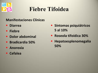 Fiebre Tifoidea Manifestaciones Clínicas Diarrea  Fiebre  Dolor abdominal Bradicardia 50% Anorexia Cefalea Síntomas psiquiátricos 5 al 10% Roseola tifoídica 30% Hepatoesplenomegalia 50% 