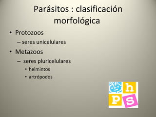 Parásitos : clasificación morfológica  Protozoos seres unicelulares  Metazoos  seres pluricelulares helmintos artrópodos 