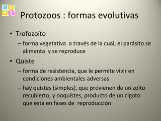 Protozoos : formas evolutivas  Trofozoíto forma vegetativa  a través de la cual, el parásito se alimenta  y se reproduce  Quiste  forma de resistencia, que le permite vivir en condiciones ambientales adversas hay quistes (simples), que provienen de un zoìto recubierto, y ooquistes, producto de un cigoto que está en fases de  reproducción  