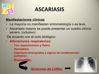 ASCARIASIS Manifestaciones clínicas   La mayoría no manifiestan sintomatología  o  es leve,  A scariasis masiva se puede presentar un cuadro clínico severo.  (oclusivo) De acuerdo con el ciclo biológico : Alteraciones respiratorias : T os, expectoración y fiebre.  Hemoptísis E stertores bronquiales y signos de condensación pulmonar.  Eosinofilia. S índrome de Löffler . 