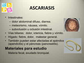 ASCARIASIS I ntestinales :   dolor abdominal difuso, diarrea .   meteorismo, náusea, vómito.  suboclusión u oclusión intestinal.  V ías biliares :  dolor, ictericia, fiebre y vómito.  H ígado :  fiebre, dolor ,  malestar general.  También pueden estar afectadas el apéndice (apendicitis) y el páncreas (pancreatitis).  Materiales para estudio   Materia fecal, exudado bronquial.   
