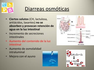 Diarreas osmóticas Ciertos solutos  (CH, lactulosa, antiácidos, laxantes)  no se absorben y provocan retención de agua en la luz intestinal Incremento de secreciones intestinales Aumento del contenido de la luz intestinal Aumento de osmolalidad intraluminal Mejora con el ayuno 