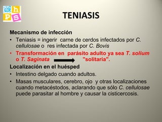 TENIASIS Mecanismo de infección   T eniasis = ingerir   carne de cerdos infectados por  C. cellulosae  o  res infectada por  C. Bovis Transformación en  parásito adulto ya sea  T. solium  o  T. Saginata   "solitaria".   Localización en el huésped Intestino delgado cuando adultos.  Masas musculares , cerebro, ojo  y otras localizaciones cuando metacéstodos, aclarando que sólo  C. cellulosae  puede parasitar al hombre y causar la cisticercosis.  
