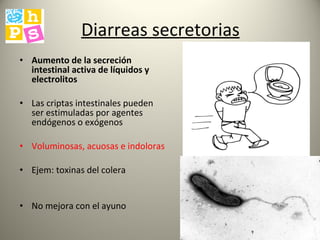 Diarreas secretorias Aumento de la secreción intestinal activa de líquidos y electrolitos Las criptas intestinales pueden ser estimuladas por agentes endógenos o exógenos Voluminosas, acuosas e indoloras Ejem: toxinas del colera No mejora con el ayuno 