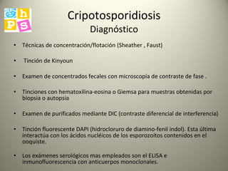 Cripotosporidiosis Diagnóstico Técnicas de concentración/flotación (Sheather , Faust) Tinción de Kinyoun  Examen de concentrados fecales con microscopía de contraste de fase . Tinciones con hematoxilina-eosina o Giemsa para muestras obtenidas por biopsia o autopsia Examen de purificados mediante DIC (contraste diferencial de interferencia) Tinción fluorescente DAPI (hidrocloruro de diamino-fenil indol). Esta última interactúa con los ácidos nucléicos de los esporozoítos contenidos en el ooquiste.  Los exámenes serológicos mas empleados son el ELISA e inmunofluorescencia con anticuerpos monoclonales. 