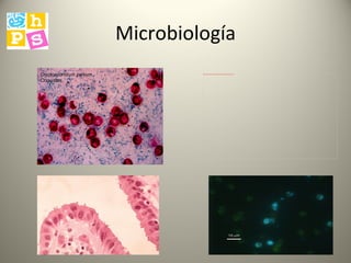 Microbiología 