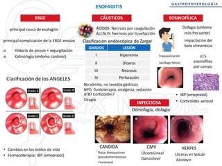 residentado medico gastroenterología peru | PDF