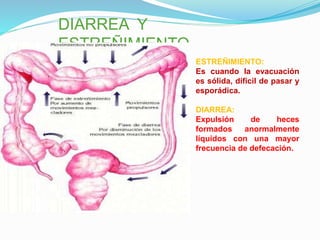 ESTREÑIMIENTO:
Es cuando la evacuación
es sólida, difícil de pasar y
esporádica.
DIARREA:
Expulsión de heces
formados anormalmente
líquidos con una mayor
frecuencia de defecación.
DIARREA Y
ESTREÑIMIENTO
 