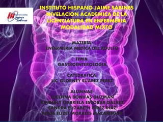 INSTITUTO HISPANO JAIME SABINES
NIVELACION ACADEMICA DE LA
LICENCIATURA EN ENFERMERIA
MODALIDAD MIXTO
MATERIA:
ENFERMERIA MEDICA DEL ADULTO
TEMA:
GASTROENTEROLOGIA
CATEDRATICA:
LIC. GLORNEY SUAREZ PEREZ
ALUMNAS:
LUCEFINA BONIFAS GUZMAN
KINBERLY GABRIELA ESCOBAR GALVEZ
SANDRA ELIZABETH PEREZ DIAZ
KENIA ELIZET MORALES MAZARIEGOS
 