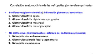 Grupo Universidad de la S.E.N.
Correlación anatomoclínica de las nefropatías glomerulares primarias
• Proliferativas (glomerulonefritis): inflamación glomerular: hematúricas:
1. Glomerulonefritis aguda
2. Glomerulonefritis rápidamente progresiva
3. Glomerulonefritis mesangial
4. Glomerulonefritis mesangiocapilar
• No proliferativas (glomerulopatías): patología del podocito: proteinúricas:
1. Nefropatía de cambios mínimos
2. Glomeruloesclerosis focal y segmentaria
3. Nefropatía membranosa
1
 