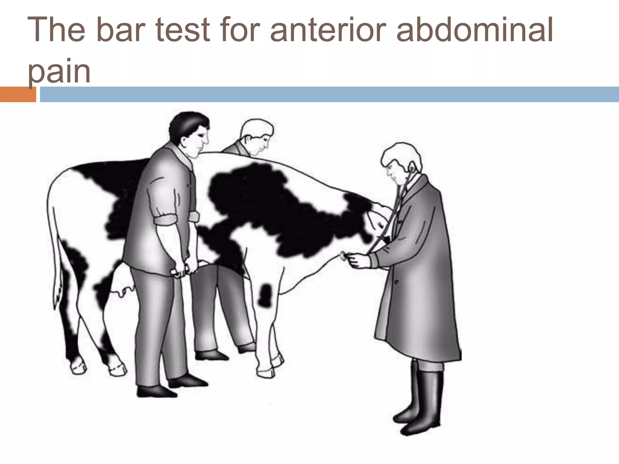 Fist Test Ruminant Gastroenterological examination in ruminants | PPTX