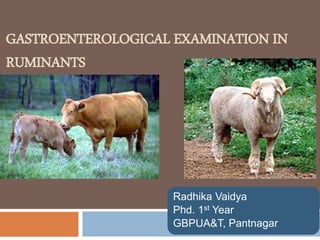 GASTROENTEROLOGICAL EXAMINATION IN
RUMINANTS
Radhika Vaidya
Phd. 1st Year
GBPUA&T, Pantnagar
 