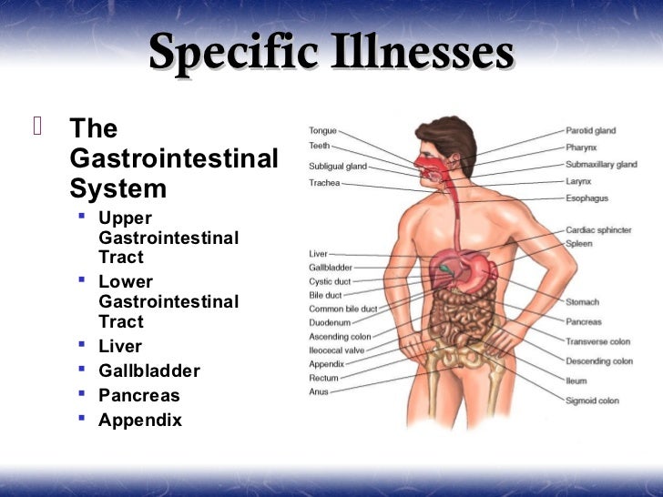 Gastroenterology