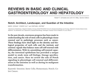 REVIEWS IN BASIC AND CLINICAL
GASTROENTEROLOGY AND HEPATOLOGY
Robert F. Schwabe and John W. Wiley, Section Editors
Notch: Architect, Landscaper, and Guardian of the Intestine
MARC VOOIJS,* ZHENYI LIU,‡
and RAPHAEL KOPAN‡
*Department of Radiotherapy, Maastricht Radiation Oncology (MAASTRO)/GROW School for Developmental Biology and Oncology, Maastricht University Medical Center,
Maastricht, The Netherlands; and ‡
Department of Developmental Biology, Washington University School of Medicine, St Louis, Missouri
In the past decade, enormous progress has been made in
understanding the role of stem cells in physiologic tissue
renewal and in pathologic processes such as cancer.
These findings have shed light on the identity and bio-
logical properties of such cells and the intrinsic and
extrinsic signals that balance stem cell self-renewal with
differentiation. With its astonishing self-renewal capac-
ity, the intestinal epithelium has provided a unique
model to study stem cell biology, lineage specifica-
tion, and cancer. Here we review the role of Notch
signaling in physiologic cell renewal and differenti-
ation in the intestine as well as during its malignant
transformation.
Keywords: Intestine; Stem Cells; Homeostasis; Notch; Co-
lon Cancer.
The primary function of the intestinal tract is food
digestion, the absorption of nutrients and water, and
the cellular defense against pathogens and microorgan-
isms. To withstand the demands of these functions, the
underlying mesenchyme, the single-layered intestinal epi-
thelium forms finger-like projections into the gut lumen
(the villi). After birth, crypts form between villi by invag-
ination into the underlying connective tissue. Reciprocal
signaling between the epithelium and the mesenchyme
shapes intestinal morphogenesis.2
Three weeks after birth, development of the adult gut is
complete and can be divided into the small and the large
intestine. Along the rostral-caudal axis, the small intestine
can be subdivided into duodenum, jejunum, and ileum.
The functional unit of the small intestine is a villus
containing terminally differentiated cells connected to the
crypts of Lieberkühn, which harbor the proliferative com-
partment. The colon is only composed of crypts and has
no extending villi. The intestine is a highly dynamic organ
system with a turnover rate of approximately 60 hours for
the entire epithelial population.3 The proliferating cells in
the crypt are intestinal stem cells (ISCs) and transit am-
plifying (TA) cells that fuel the continuous production of
several differentiated epithelial cell types (Figure 1). The
crypt epithelium cycles asynchronously, and new crypts
REVIEWS
AND
PERSPECTIVES
GASTROENTEROLOGY 2011;141:448–459
REVIEWS IN BASIC AND CLINICAL
GASTROENTEROLOGY AND HEPATOLOG
Robert F. Schwabe and John W. Wiley, S
Notch: Architect, Landscaper, and Guardian of the Intestine
MARC VOOIJS,* ZHENYI LIU,‡
and RAPHAEL KOPAN‡
*Department of Radiotherapy, Maastricht Radiation Oncology (MAASTRO)/GROW School for Developmental Biology and Oncology, Maastricht University M
Maastricht, The Netherlands; and ‡
Department of Developmental Biology, Washington University School of Medicine, St Louis, Missouri
In the past decade, enormous progress has been made in
understanding the role of stem cells in physiologic tissue
renewal and in pathologic processes such as cancer.
These findings have shed light on the identity and bio-
logical properties of such cells and the intrinsic and
extrinsic signals that balance stem cell self-renewal with
differentiation. With its astonishing self-renewal capac-
ity, the intestinal epithelium has provided a unique
model to study stem cell biology, lineage specifica-
tion, and cancer. Here we review the role of Notch
signaling in physiologic cell renewal and differenti-
ation in the intestine as well as during its malignant
transformation.
Keywords: Intestine; Stem Cells; Homeostasis; Notch; Co-
lon Cancer.
underlying mesenchyme, the single-layered in
thelium forms finger-like projections into th
(the villi). After birth, crypts form between v
ination into the underlying connective tissue
signaling between the epithelium and the
shapes intestinal morphogenesis.2
Three weeks after birth, development of the
complete and can be divided into the small a
intestine. Along the rostral-caudal axis, the sm
can be subdivided into duodenum, jejunum
The functional unit of the small intestine
containing terminally differentiated cells conn
crypts of Lieberkühn, which harbor the prolif
partment. The colon is only composed of cry
no extending villi. The intestine is a highly dy
system with a turnover rate of approximately
REVIEWS
AND
 
