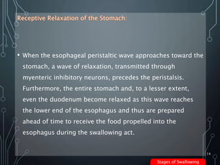 • When the esophageal peristaltic wave approaches toward the
stomach, a wave of relaxation, transmitted through
myenteric ...