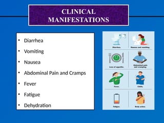 CLINICAL
MANIFESTATIONS
• Diarrhea
• Vomiting
• Nausea
• Abdominal Pain and Cramps
• Fever
• Fatigue
• Dehydration
 