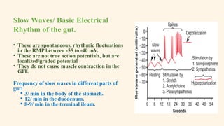 Comprehensive Overview of Gastrointestinal Physiology and Function | PPTX
