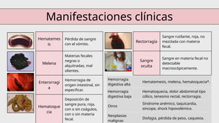 Manifestaciones clínicas
Hematemes
is
Pérdida de sangre
con el vómito.
Rectorragía
Sangre rutilante, roja, no
mezclada con materia
fecal.
Melena
Materias fecales
negras o
alquitradas, mal
olientes.
Sangre
oculta
Sangre en materia fecal no
detectable
macroscópicamente.
Enterorragi
a
Hemorragia de
origen intestinal, sin
especificar.
Hematoque
cia
Deposición de
sangre pura, roja,
con o sin coágulos,
con o sin materia
fecal.
Hemorragia
digestiva alta
Hematemesis, melena, hematoquecia*.
Hemorragia
digestiva baja
Hematoquecia, dolor abdominal tipo
cólico, tenesmo rectal, rectorragia.
Otros
Síndrome anémico, taquicardia,
sincope, shock hipovolémico.
Neoplasias
malignas
Disfagia, pérdida de peso, caquexia.
 