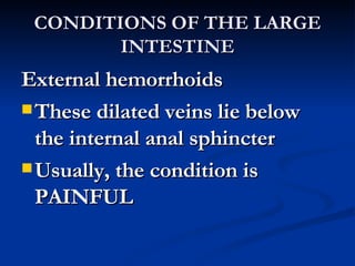 CONDITIONS OF THE LARGE INTESTINE External hemorrhoids These dilated veins lie below the internal anal sphincter Usually, the condition is PAINFUL 