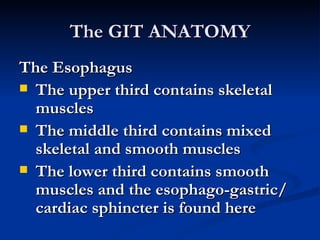 NurseReview.Org Gastrointestinal System | PPT