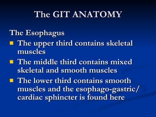 The GIT ANATOMY <ul><li>The Esophagus </li></ul><ul><li>The upper third contains skeletal muscles </li></ul><ul><li>The mi...