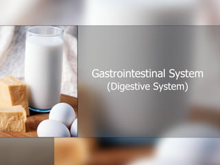 Gastrointestinal System (Digestive System) 