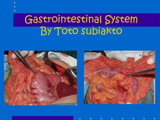Gastrointestinal System
By Toto subiakto

 