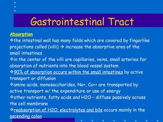 Gastrointestinal Tract Absorption the intestinal wall has many folds which are covered by fingerlike projections called (villi)    increase the absorptive area of the small intestines in the center of the villi are capillaries, veins, small arteries for absorption of nutrients into the blood vessel system 90% of absorption occurs within the small intestines  by active transport or diffusion amino acids, monosaccharides, Na+, Ca++ are transported by active transport w/ the expenditure or use of energy other nutrients, fatty acids and H2O – diffuse passively across the cell membrane reabsorption of H2O, electrolytes and bile  occurs mainly in the  ascending colon 