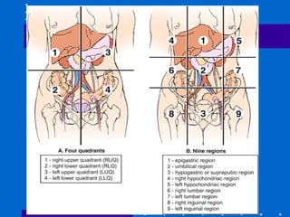 Assessment of the GIT 