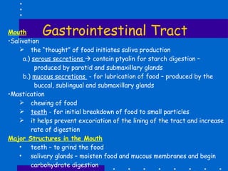 Gastrointestinal Tract Mouth   Salivation  the “thought” of food initiates saliva production a.)  serous secretions    contain ptyalin for starch digestion – produced by parotid and submaxillary glands b.)  mucous secretions  - for lubrication of food – produced by the  buccal, sublingual and submaxillary glands Mastication chewing of food teeth  - for initial breakdown of food to small particles it helps prevent excoriation of the lining of the tract and increase rate of digestion Major Structures in the Mouth teeth – to grind the food salivary glands – moisten food and mucous membranes and begin carbohydrate digestion tongue – to push the food to the pharynx to initiate swallowing   