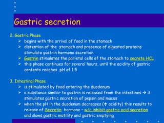 Gastric secretion 2. Gastric Phase begins with the arrival of food in the stomach  distention of the  stomach and presence of digested proteins stimulate gastrin hormone secretion Gastrin  stimulates the parietal cells of the stomach to  secrete HCL this phase continues for several hours, until the acidity of gastric contents reaches  pH of 1.5 3. Intestinal Phase is stimulated by food entering the duodenum a substance similar to gastrin is released from the intestines    it stimulates gastric secretion of pepsin and mucus when the pH in the duodenum decreases (   acidity) this results to release of  Secretin   hormone –  w/c inhibit gastric acid secretion  and slows gastric motility and gastric emptying 