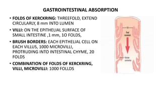 GASTROINTESTINAL ABSORPTION
• FOLDS OF KERCKRING: THREEFOLD, EXTEND
CIRCULARLY, 8 mm INTO LUMEN
• VILLI: ON THE EPITHELIAL SURFACE OF
SMALL INTESTINE ,1 mm, 1O FOLDS,
• BRUSH BORDERS: EACH EPITHELIAL CELL ON
EACH VILLUS, 1000 MICROVILLI,
PROTRUDING INTO INTESTINAL CHYME, 20
FOLDS
• COMBINATION OF FOLDS OF KERCKRING,
VILLI, MICROVILLI: 1000 FOLLDS
 