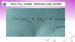 HOW CO2 PASSED THROUGH LIME WATER?
 