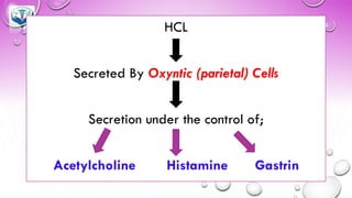 HCL
Secreted By Oxyntic (parietal) Cells
Secretion under the control of;
Acetylcholine Histamine Gastrin
 