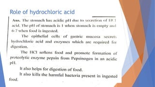 Role of hydrochloric acid
 