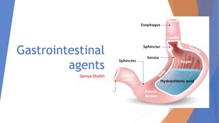 Gastrointestinal
agents
Saniya Shaikh
 