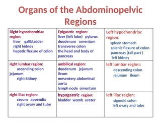 Organs of the Abdominopelvic
Regions
Right hypochondriac
region:
liver gallbladder
right kidney
hepatic flexure of colon
Epigastric region:
liver (left lobe) pylorus
duodenum omentum
transverse colon
the head and body of
pancreas
Left hypochondriac
region:
spleen stomach
splenic flexure of colon
pancreas (tail part )
left kidney
right lumbar region:
ascending colon
jejunum
right kidney
umbilical region:
duodenum jejunum
ileum
mesentery abdominal
aorta
lymph node omentum
left lumbar region:
descending colon
jejunum ileum
right iliac region:
cecum appendix
right ovary and tube
hypogastric region:
bladder womb ureter
left iliac region:
sigmoid colon
left ovary and tube
 